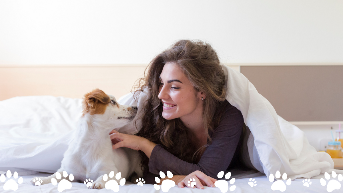 Apartamentos Pet Friendly: Um lar perfeito para você e seu bichinho